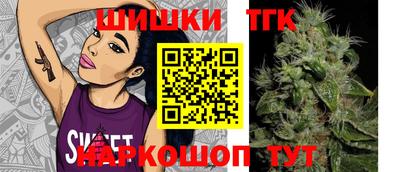 МДПВ Моздок
