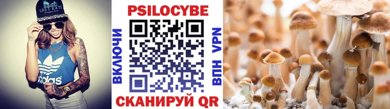 Галлюциногенные грибы Cubensis дарнет шоп blacksprut вход Черняховск